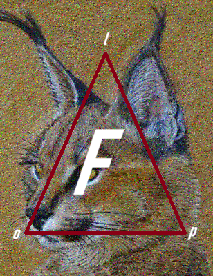 Flop